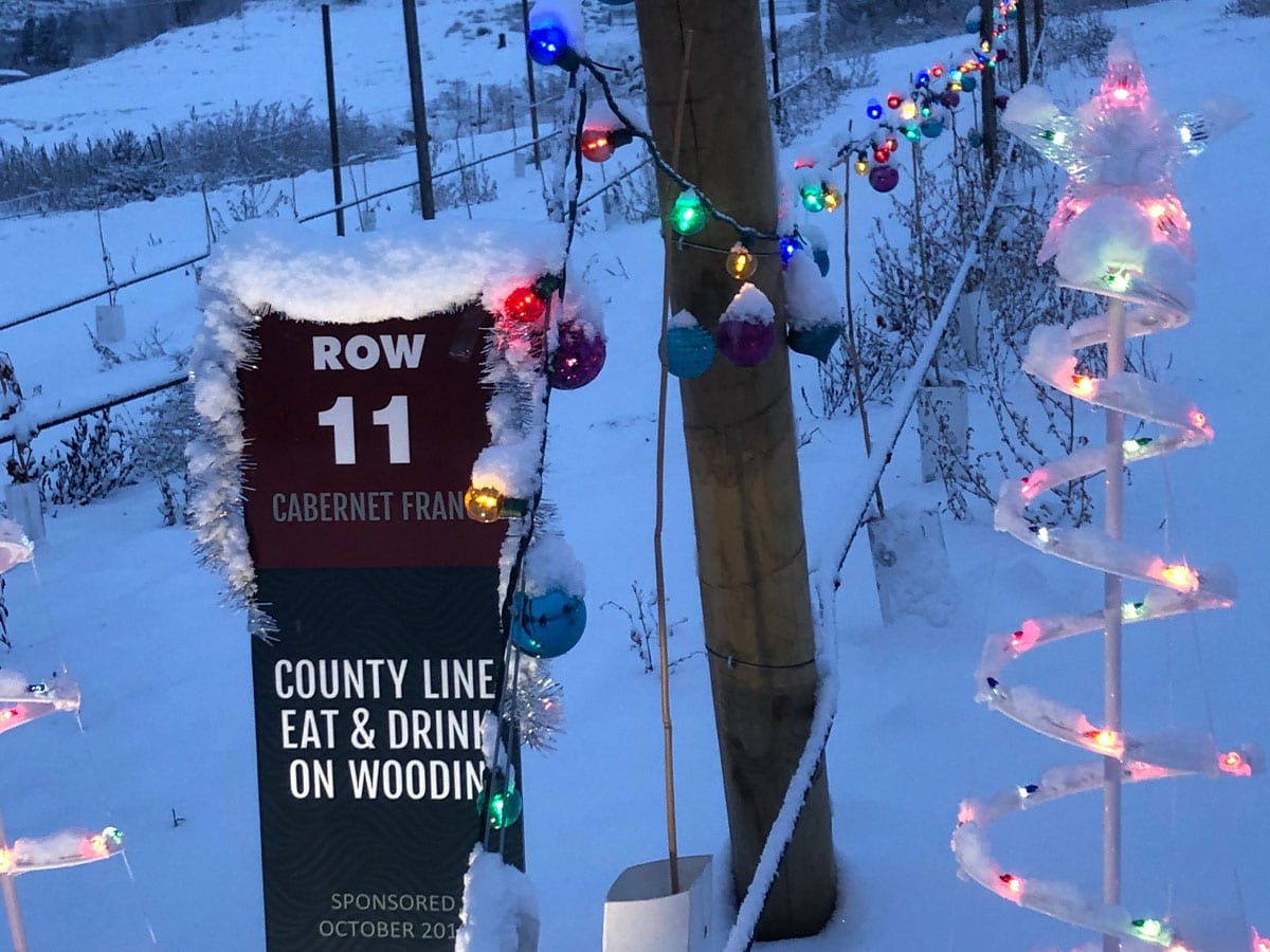 Featured-Image-Winners-of-Sponsor-a-row-holiday-contest-2019-Row-11 Featured-Image-Winners-of-Sponsor-a-row-holiday-contest-2019-Row-11